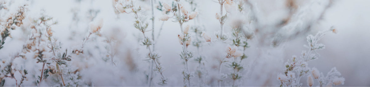 STRATÉGIES ANTI-FROID